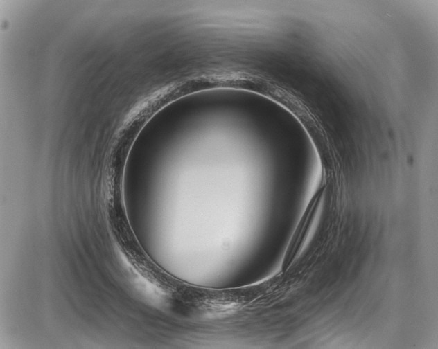 X0000086090732200703231429