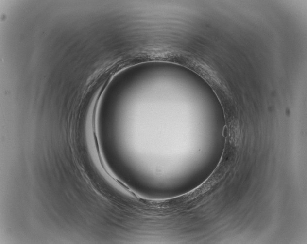 X0000086090740200703231430