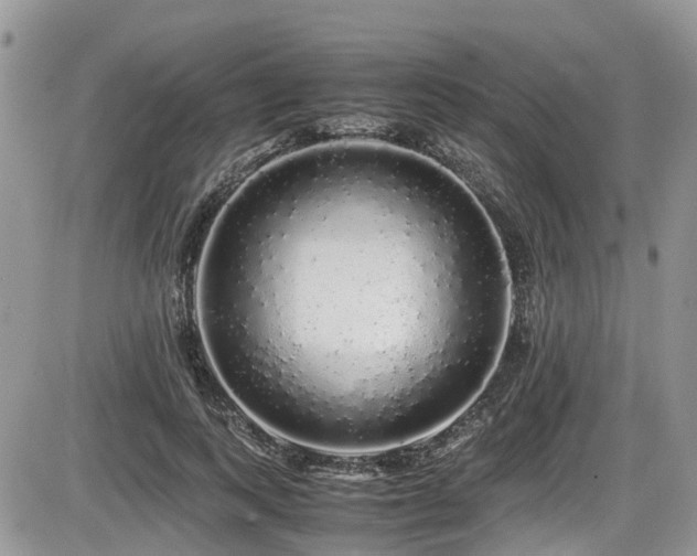 X0000086090743200703231430