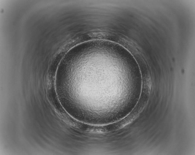 X0000086090751200703231430