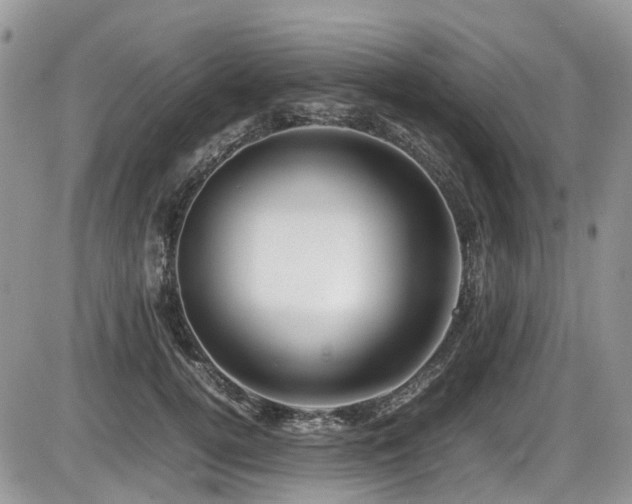 X0000086090752200703231430