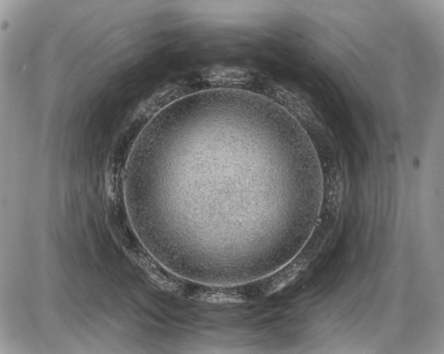 X0000086090755200703231430