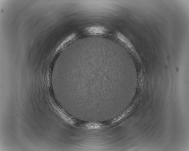 X0000086090762200703231430