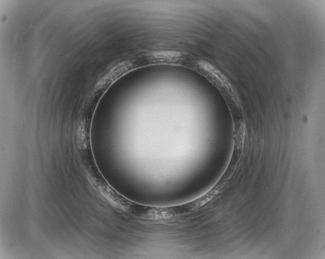 X0000086090764200703231430