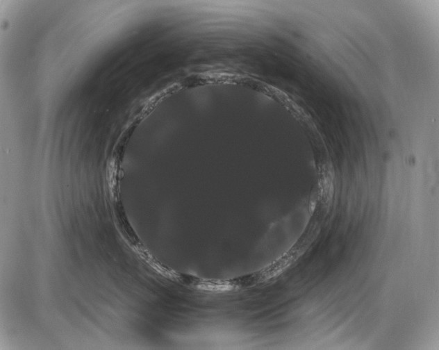 X0000086090767200703231430
