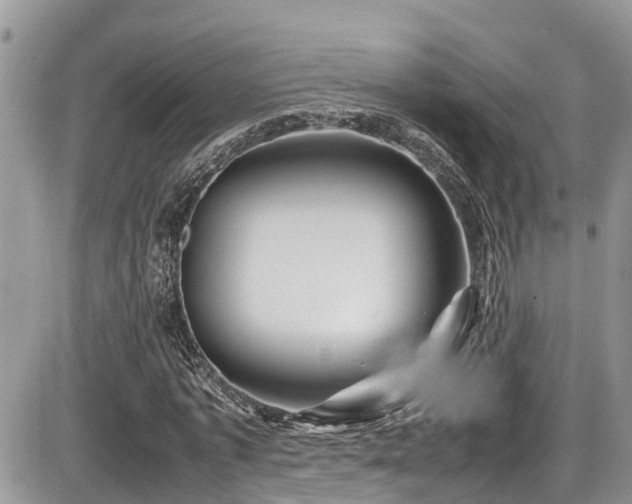 X0000086090773200703231429