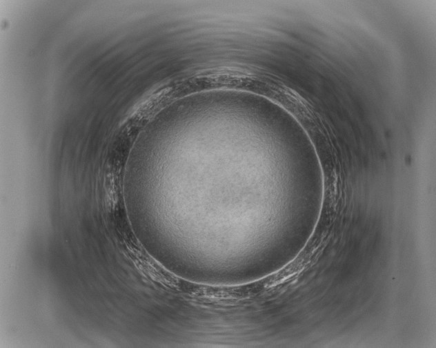 X0000086090774200703231429