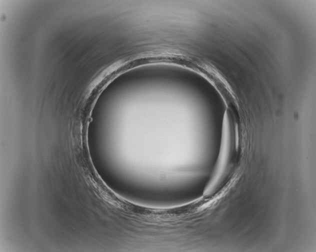 X0000086090781200703231429