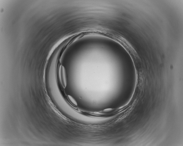 X0000086090788200703231429