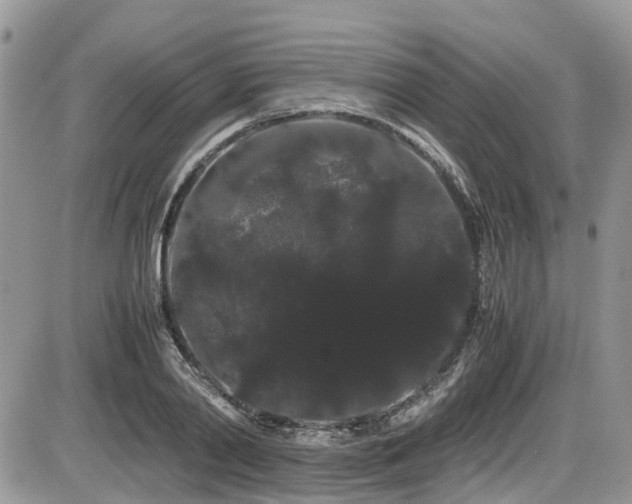 X0000086090790200703231429