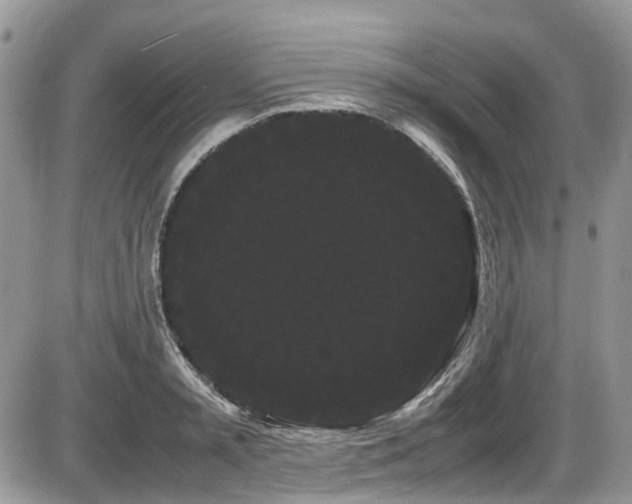 X0000086090797200703231429
