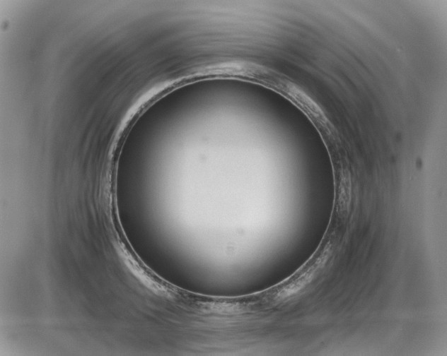 X0000086090800200703231429