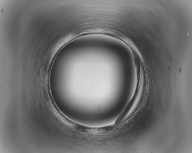 X0000086090805200703231429