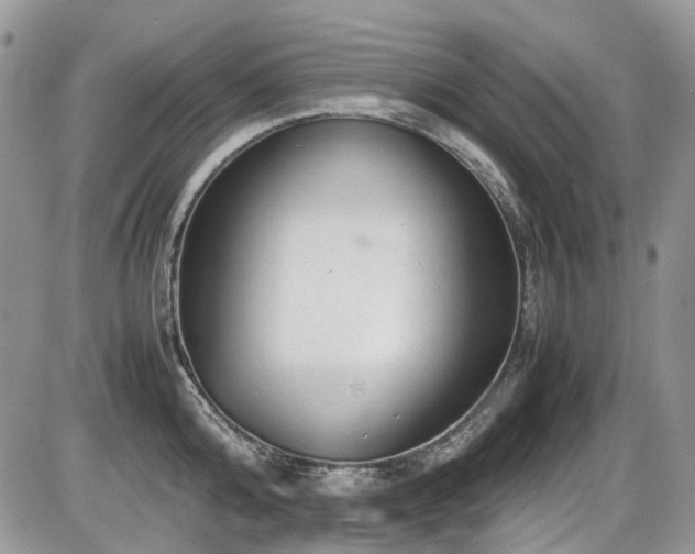 X0000086090808200703231429