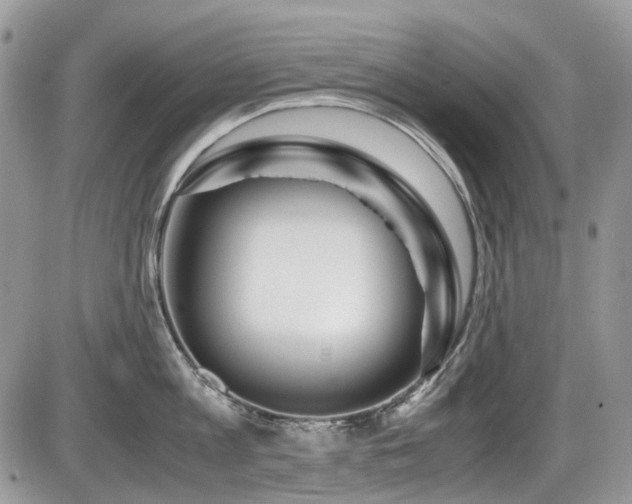 X0000086090813200703231429