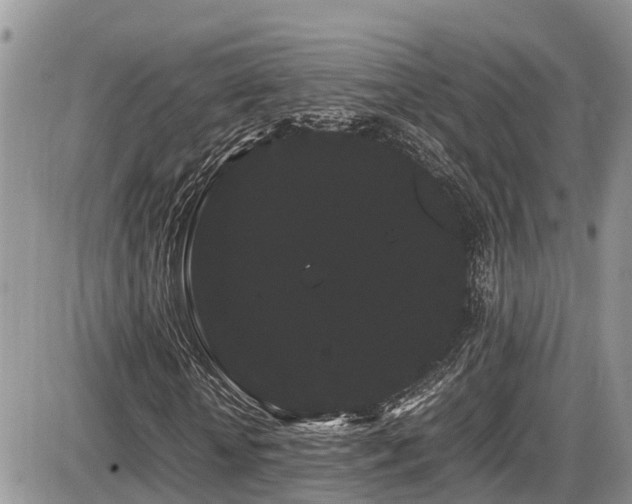 X0000086090818200703231428
