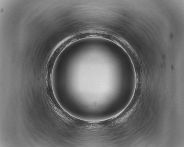 X0000086090830200703231428