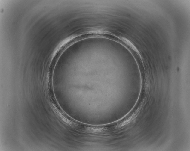X0000086090831200703231428