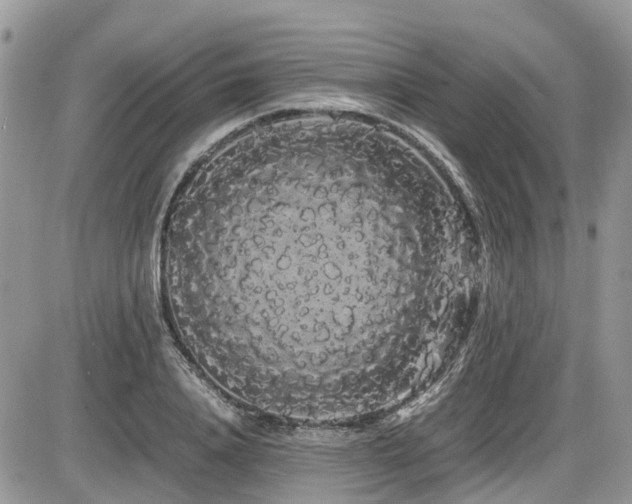 X0000086090840200703231428