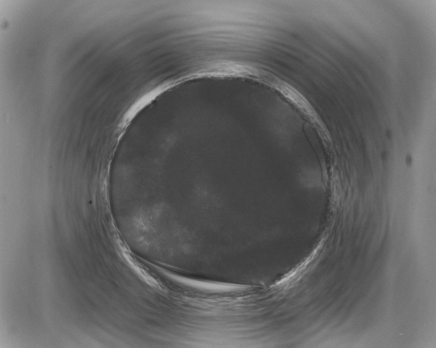 X0000086090842200703231428
