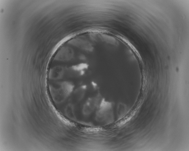 X0000086090853200703231428