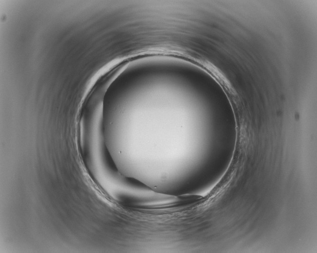 X0000086090854200703231428