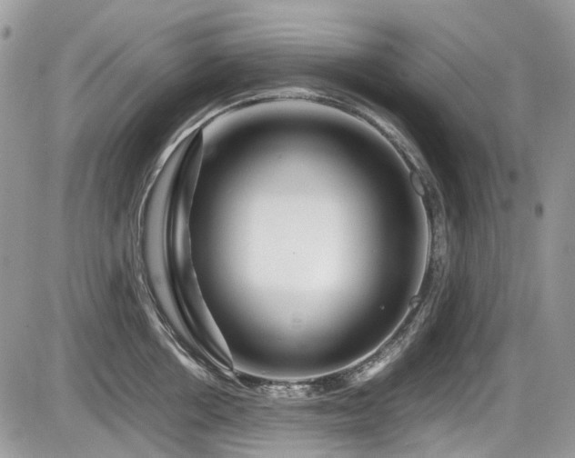 X0000086090858200703231428