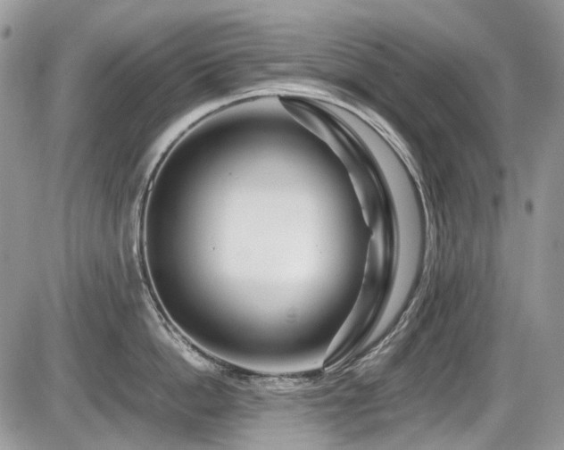 X0000086090862200703231428