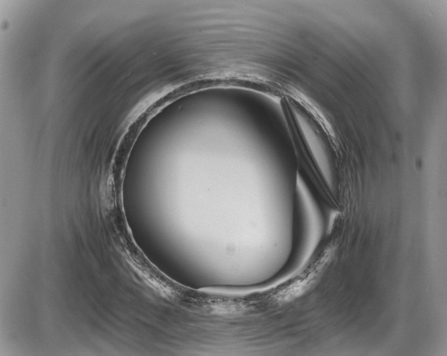 X0000086090876200703231427
