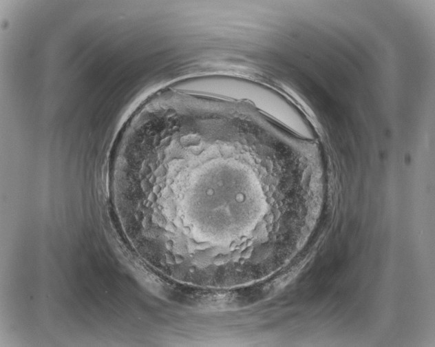 X0000086090891200703231427