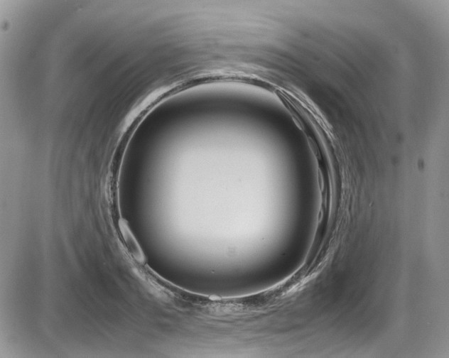 X0000086090893200703231427