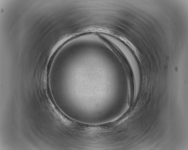 X0000086090894200703231427