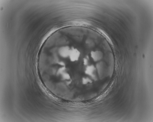 X0000086090899200703231427