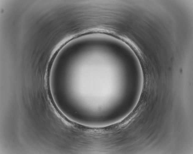X0000086090902200703231427