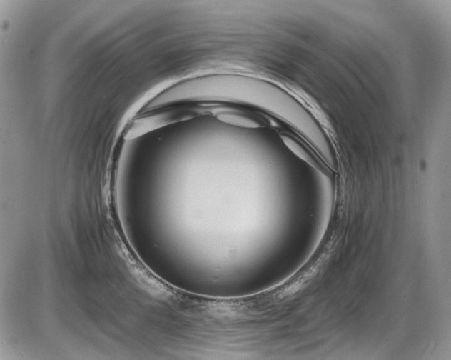 X0000086090904200703231427