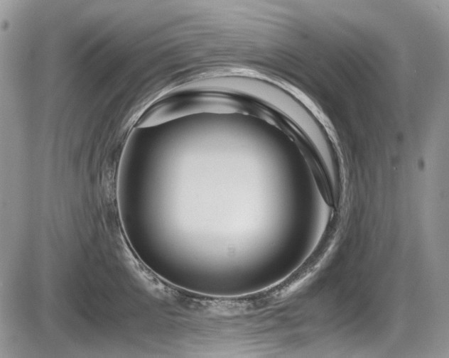 X0000086090905200703231427