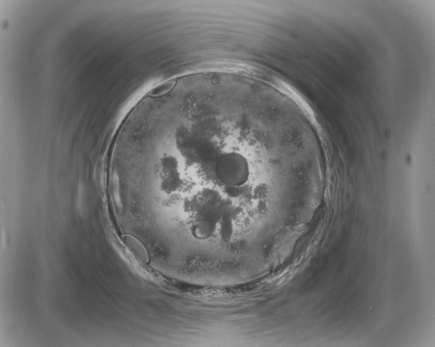 X0000086090907200703231427