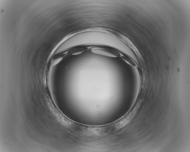 X0000086090908200703231427