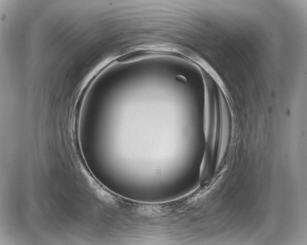 X0000086090909200703231427