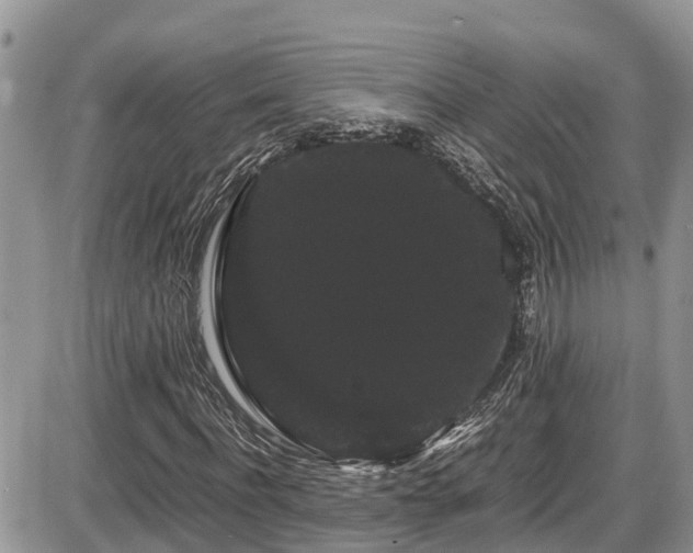 X0000086090916200703231426