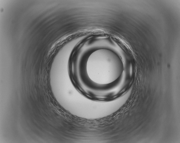 X0000086090920200703231426