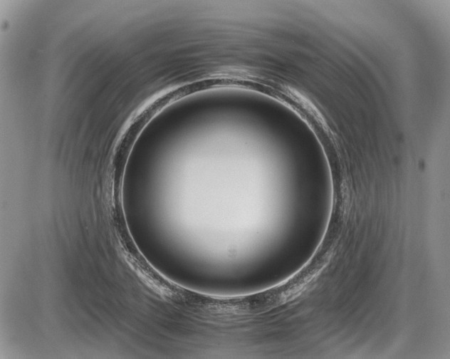 X0000086090931200703231426