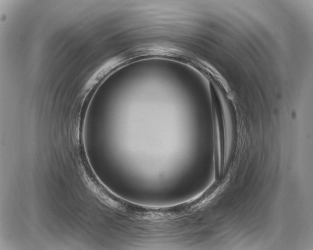 X0000086090938200703231426