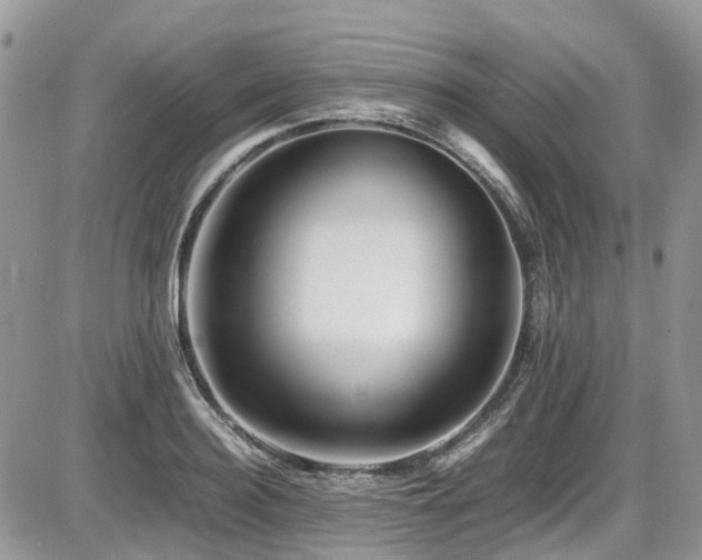 X0000086090940200703231427