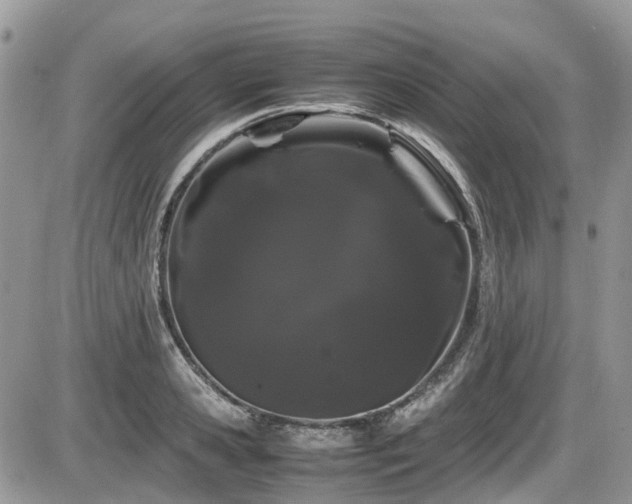 X0000086090941200703231427