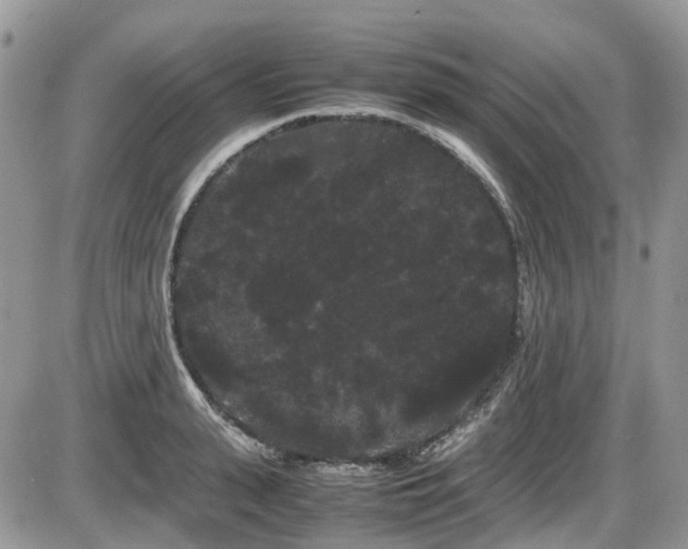 X0000086090943200703231427