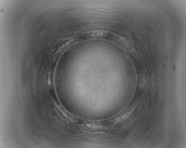 X0000086090962200703231426