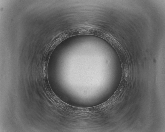 X0000086090964200703231426