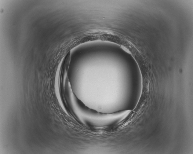 X0000086090965200703231426