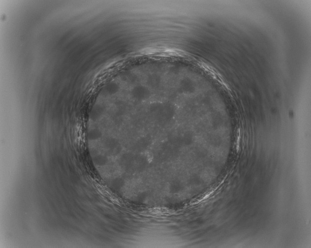 X0000086090966200703231426